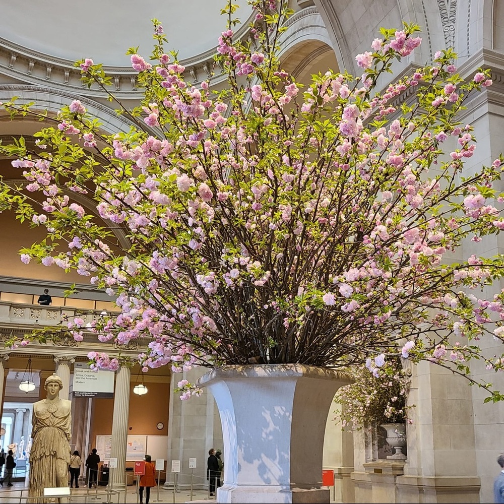 Meet your Posher, Luna